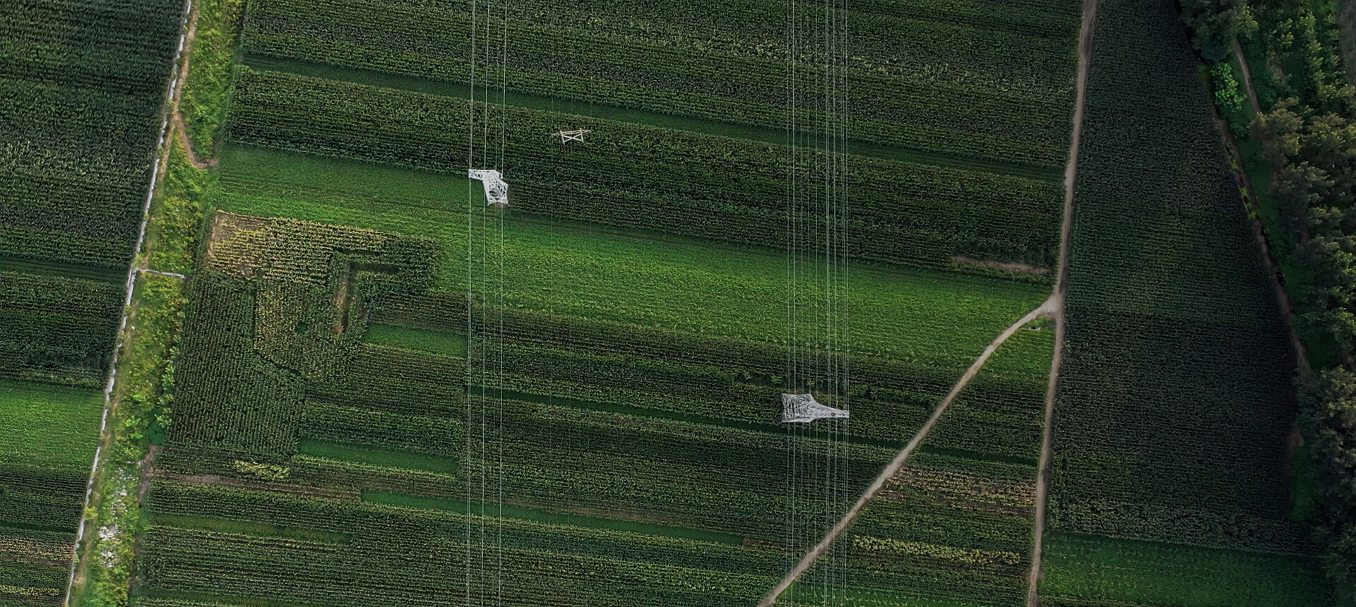 電網(wǎng)基礎(chǔ)設(shè)施巡檢方案